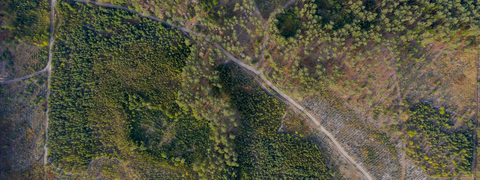 Monitorización y modelización de recursos